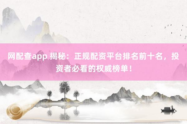 网配查app 揭秘：正规配资平台排名前十名，投资者必看的权威榜单！