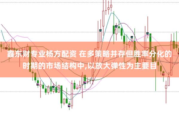鑫东财专业杨方配资 在多策略并存但胜率分化的时期的市场结构中,以放大弹性为主要目