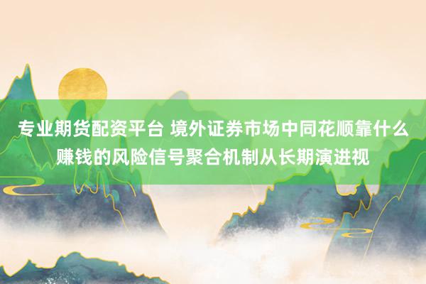 专业期货配资平台 境外证券市场中同花顺靠什么赚钱的风险信号聚合机制从长期演进视