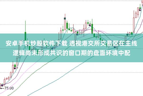安卓手机炒股软件下载 透视港交所交易区在主线逻辑尚未形成共识的窗口期的盘面环境中配