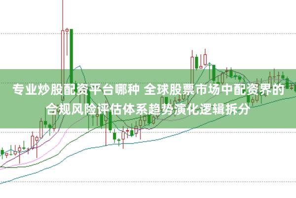 专业炒股配资平台哪种 全球股票市场中配资界的合规风险评估体系趋势演化逻辑拆分