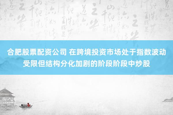 合肥股票配资公司 在跨境投资市场处于指数波动受限但结构分化加剧的阶段阶段中炒股