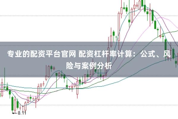 专业的配资平台官网 配资杠杆率计算：公式、风险与案例分析