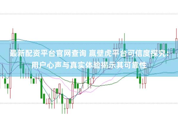 最新配资平台官网查询 赢壁虎平台可信度探究：用户心声与真实体验揭示其可靠性