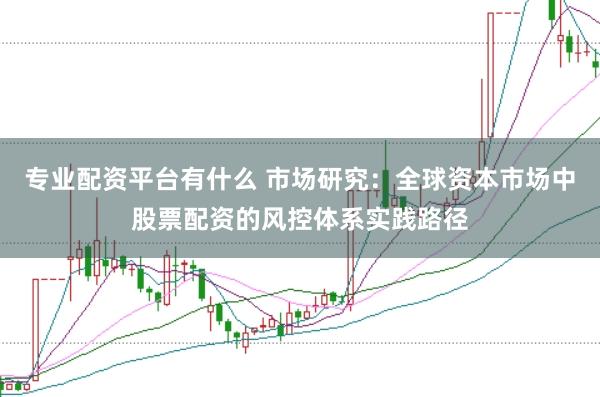 专业配资平台有什么 市场研究：全球资本市场中股票配资的风控体系实践路径