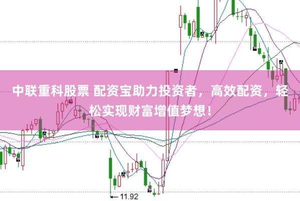 中联重科股票 配资宝助力投资者，高效配资，轻松实现财富增值梦想！